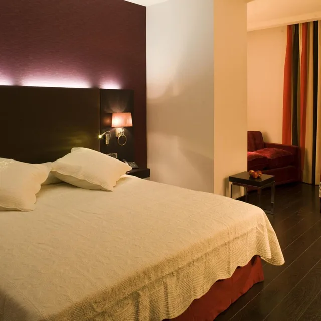غرفة سوبيريور بسرير كينج، Hotel Boutique Gareus 1/6