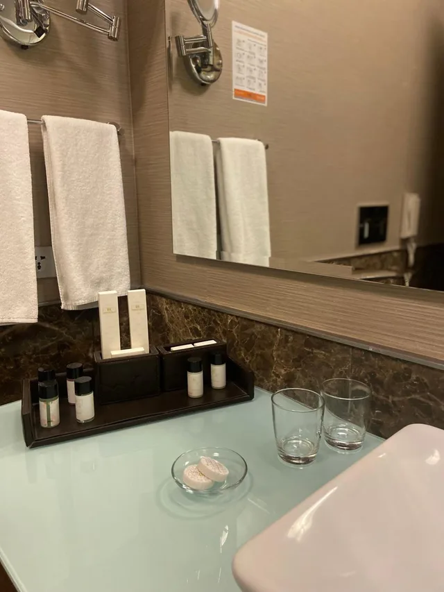 غرفة بسرير مزدوج لذوي الإعاقة، Borjomi Likani Hotel, Borjomi 7/9