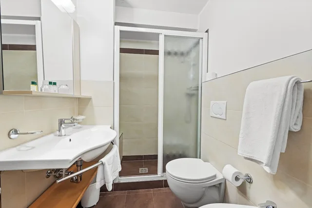 Panoramic, Studio, Double Bed, Valley View, Balcony، Residence Lagorai 4/7
