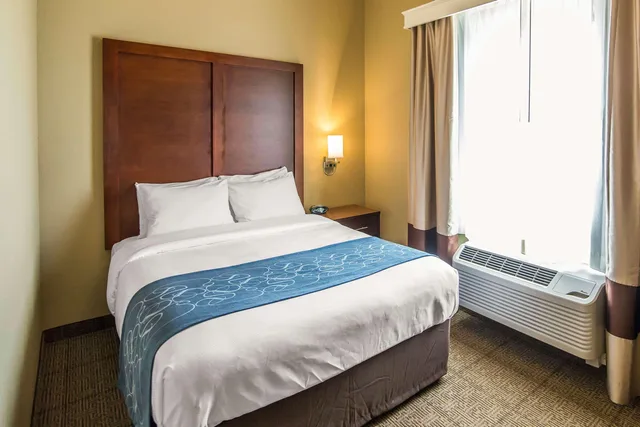 جناح بسرير كينج وسرير كوين، Comfort Suites Dodge City, KS 3/5