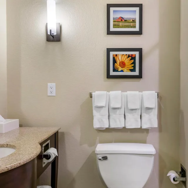 Suite, King Bed, Jetted Tub, Comfort Suites Helena Airport 5/5