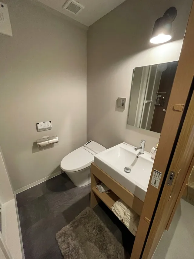 غرفة قياسية بسرير مزدوج، R Hotel Namba 3/3