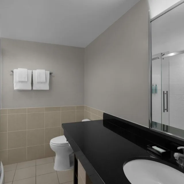 غرفة بسرير كينج بشرفة بحوض استحمام لذوي الإعاقة، Courtyard Fort Lauderdale East Lauderdale By the Sea 5/7