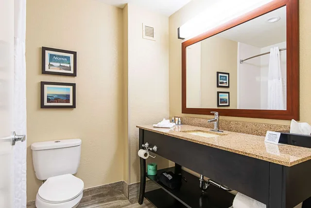 جناح بسرير كينج، Comfort Inn & Suites Pine Bluff 2/2