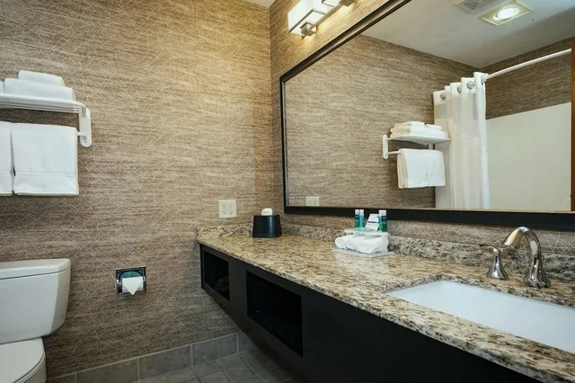 غرفة بسرير كينج، Wyndham Garden Anchorage Airport 4/7