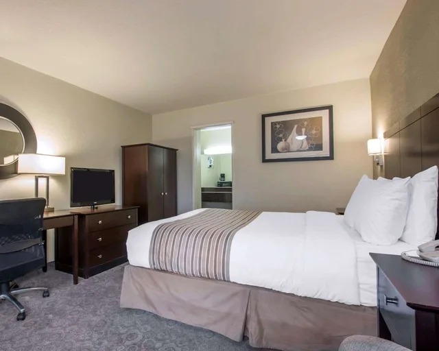 Room, King Bed, Rodeway Inn Convention Center 3/6