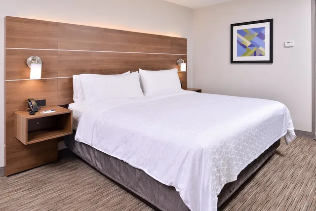 غرفة قياسية بسرير فردي، Holiday Inn Express Hotel & Suites Selma 1/1