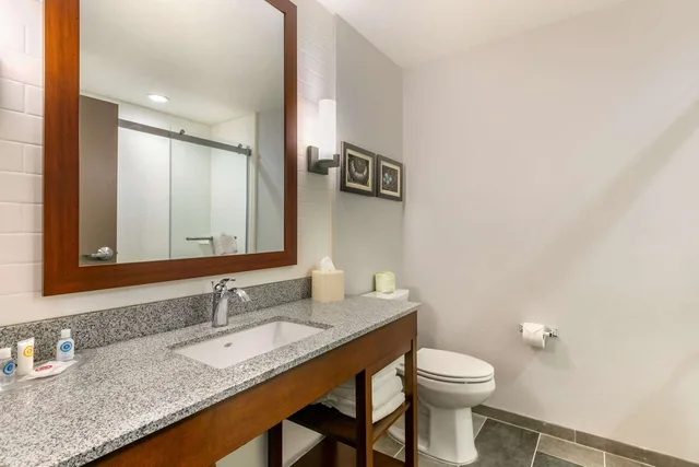 جناح بسرير كينج، Comfort Suites North Tupelo, MS 2/2