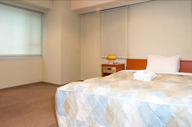 Semi Room, Double Bed, Smoking، Nissei Hotel Fukuoka 3/11
