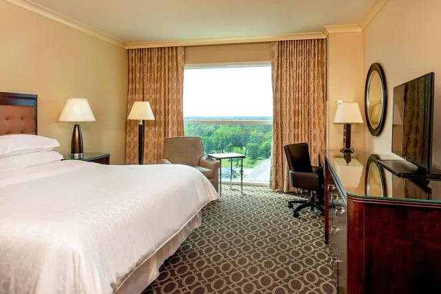 غرفة بسرير كينج، Sheraton Myrtle Beach 13/15
