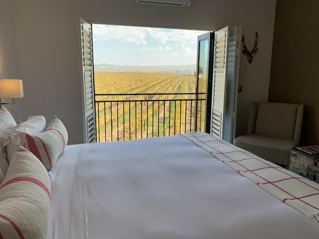 Vineyard، Wedgeview Country House Spa 2/3