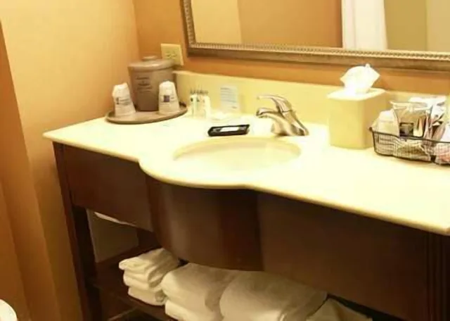 غرفة كلاسيكية بسرير كينج لذوي الإعاقة، Hampton Inn Suites Richmond Virginia Center Va 4/4