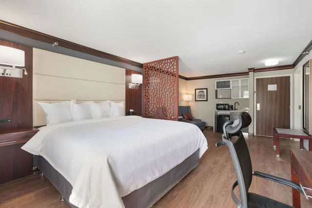 جناح بسرير كينج بحوض جاكوزي، The Leo Collection Detroit, an Ascend Collection Hotel 2/10