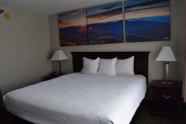 غرفة بسرير كينج، Days Inn & Suites By Wyndham Tucker/Northlake 5/6
