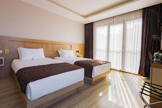 غرفة ديلوكس ثلاثية بغرفة نوم واحدة، Anemon Hotel Trabzon 1/1