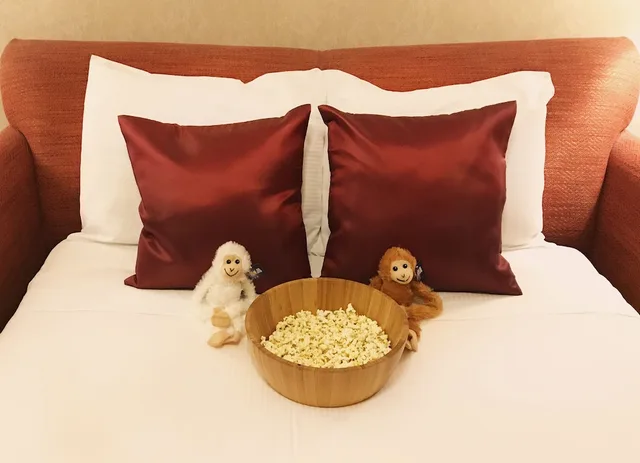جناح مزدوج مزدوج، Casablanca Hotel 5/5