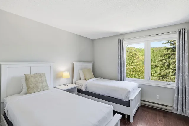 Green, King and Queen and Twin Beds, Pet Friendly، The Lodges At Blue Mountain Wintergreen Condos 4/10