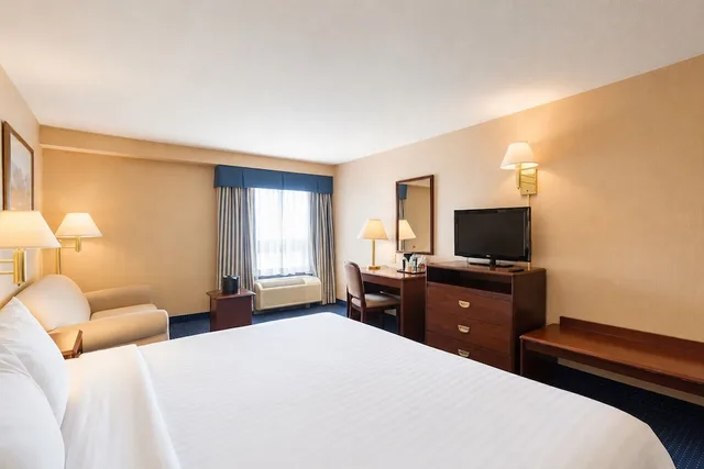 Spacious, King Bed, Wyndham Garden Monterrey Norte 2/10