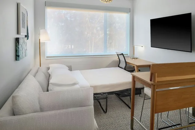 جناح بسرير كينج مع أريكة لذوي الإعاقة، Element by Marriott Branson 5/6