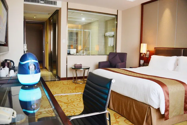 غرفة سوبيريور، Avant-Garde Hotel 2/2