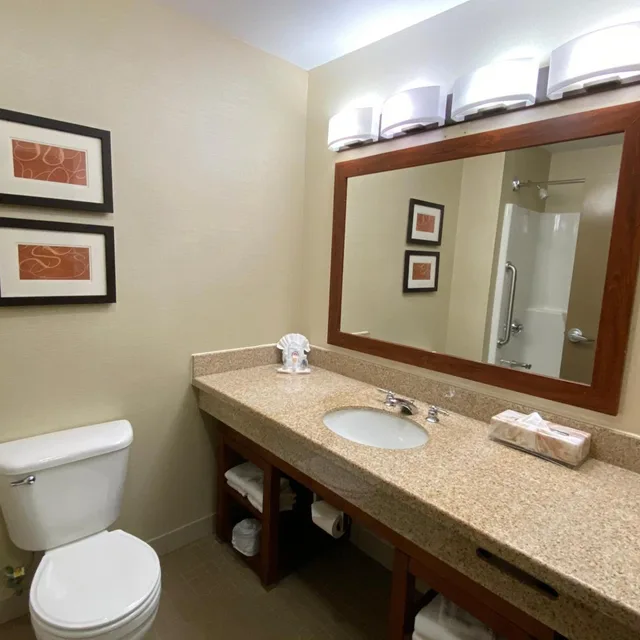 Efficiency, Suite, King Bed, Pet Friendly، Comfort Suites Coralville 3/5