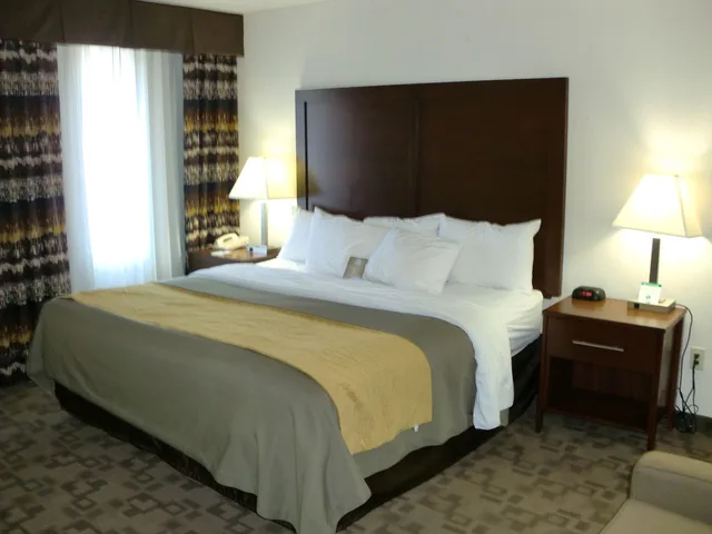 Standard, King Bed, Comfort Inn Birch Run - Frankenmuth 1/2