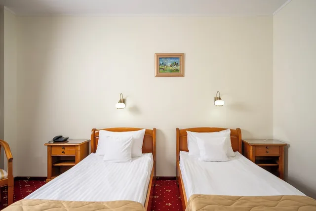 Room, Queen Bed, Palace View, Hotel Moldova 1/8