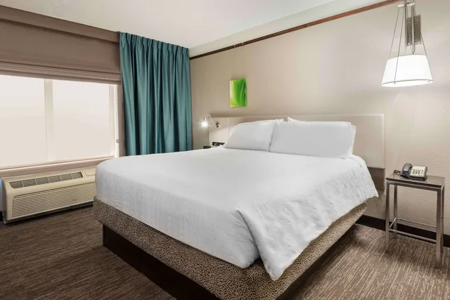 جناح رئاسي بسرير كينج مع أريكة، Hilton Garden Inn Wilmington Mayfaire Town Ctr 2/3
