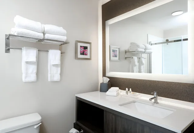 غرفة بسرير مزدوج لذوي الإعاقة، Holiday Inn Hotel And Suites Sioux Falls Airport 1/1