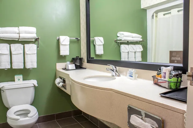 غرفة بسرير كينج لذوي الإعاقة، Sleep Inn & Suites Charles City 5/7