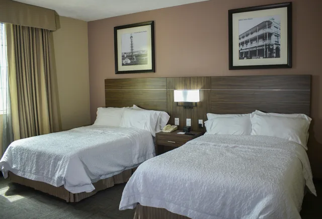 استوديو بسريرين مزدوجين، Hampton Inn By Hilton Tampico Zona Dorada 1/7