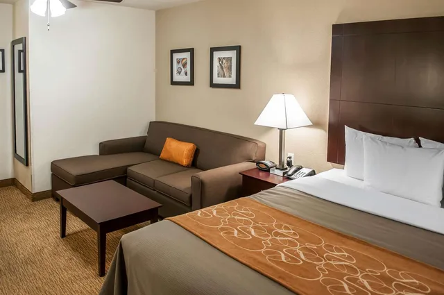 جناح بسرير كينج، Comfort Suites Albuquerque/North Journal Center 2/3