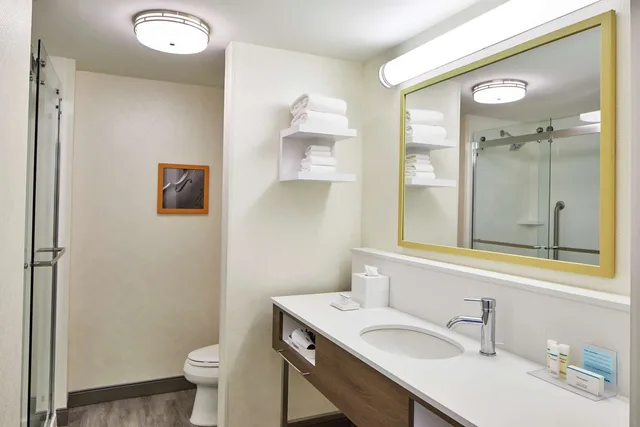 غرفة بسرير كينج بإطلالة على المدينة لذوي الإعاقة، Hampton Inn and Suites Atlanta Midtown 2/2