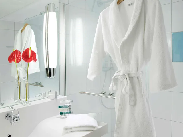 Executive, Double Bed, Novotel Roissy Saint-Witz 7/7