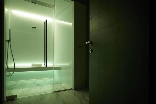Wellness, Deluxe, Suite, Single، Concord Hotel Formerly Ata Hotel Concord 4/4