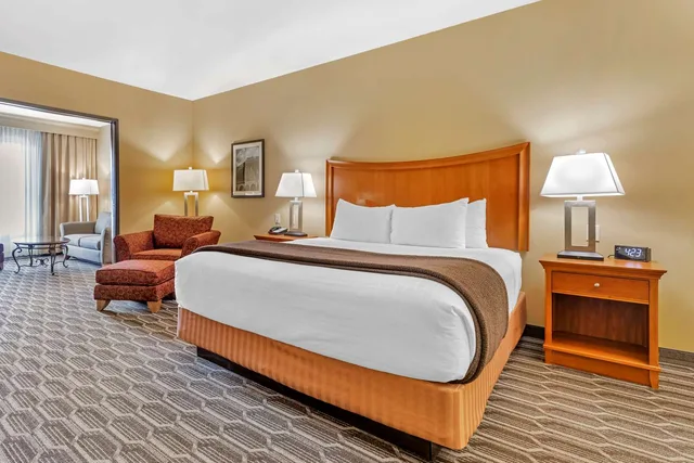 جناح بسرير كينج مع أريكة، Best Western Plus Swiss Chalet Hotel & Suites 1/3