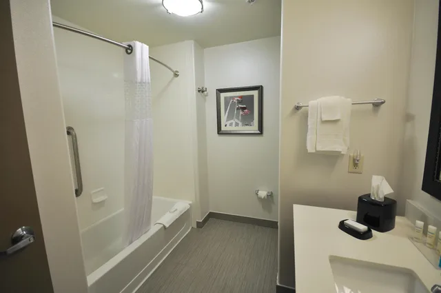 Room, King Bed, Sofa, Accessible, Hampton Inn & Suites Hutto Austin 6/6