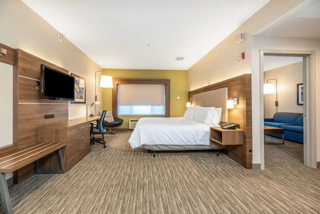 جناح بسرير كينج مع أريكة بمنطقة جلوس، Holiday Inn Express Hotel And Suites Fremont Milpitas Central 1/3