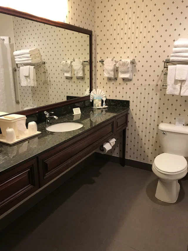 جناح بسريرين مزدوجين مع أريكة، Comfort Suites Madison West - Middleton 9/10