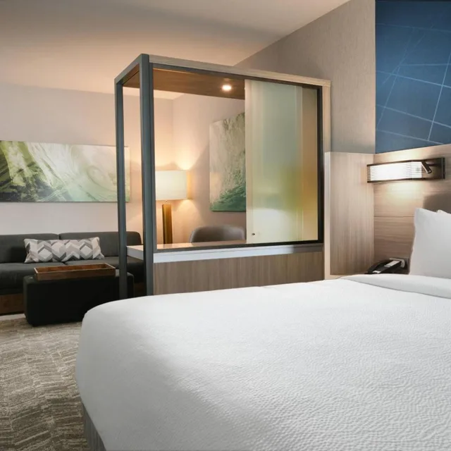 جناح بسرير كينج مع سرير سحّاب إضافي مع أريكة، Springhill Suites By Marriott Dallas Dfw Airport South/Centreport 1/6