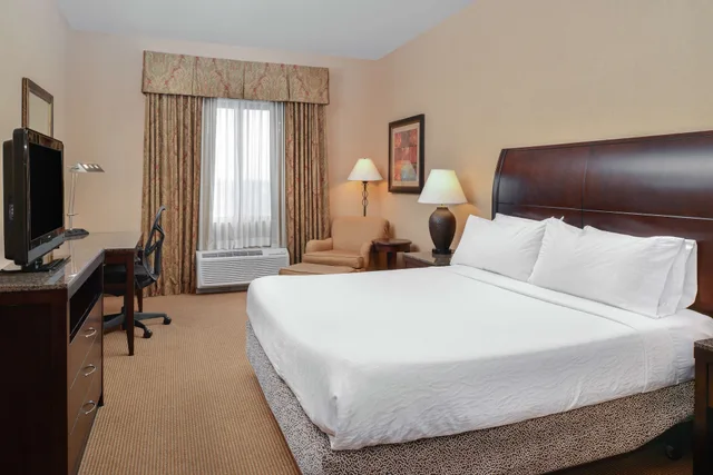 Evolution, King Bed، Hilton Garden Inn Twin Falls 1/6