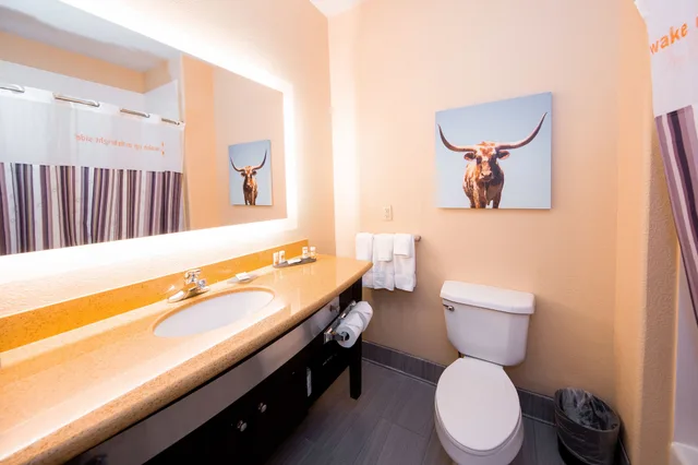 غرفة ديلوكس تنفيذية بسرير كينج، La Quinta Inn & Suites by Wyndham Big Spring 5/10