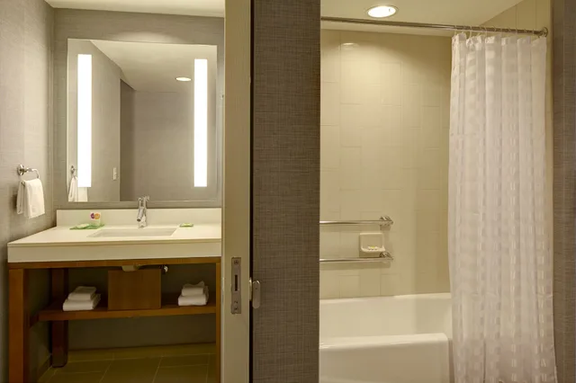 غرفة بسرير كينج مع أريكة لذوي الإعاقة، Hyatt Place Glendale/Los Angeles 3/4