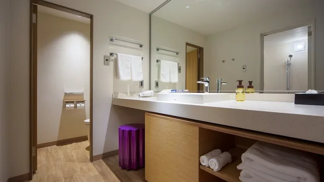 غرفة بريميوم بسريرين مزدوجين بشرفة، ANA Holiday Inn Resort Shinano-omachi Kuroyon 3/3
