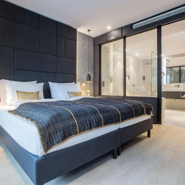 جناح بسرير كينج، RADISSON BLU HOTEL, MANNHEIM 1/4