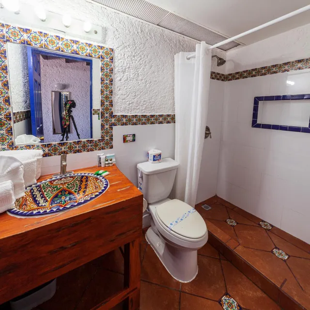 Standard, Double Bed, Las Rocas Resort Spa 6/6
