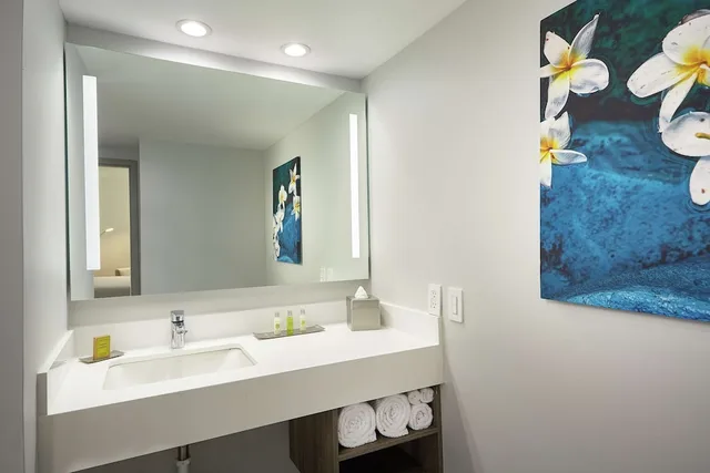 غرفة بسرير كينج لذوي الإعاقة، Doubletree By Hilton Managua 7/8