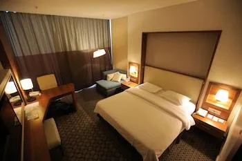 غرفة ديلوكس بإطلالة على المدينة بغرفة نوم واحدة مفردة بسرير مزدوج للمدخنين، Anemon Grand Samsun Hotel 1/1