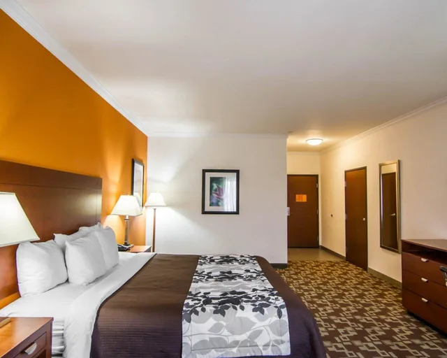غرفة قياسية بسرير كينج، Sleep Inn Suites I 20 2/4