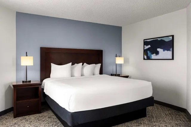 Pure, Wellness, Suite, King Bed, Sofa, Accessible، Embassy Suites by Hilton Birmingham 2/5